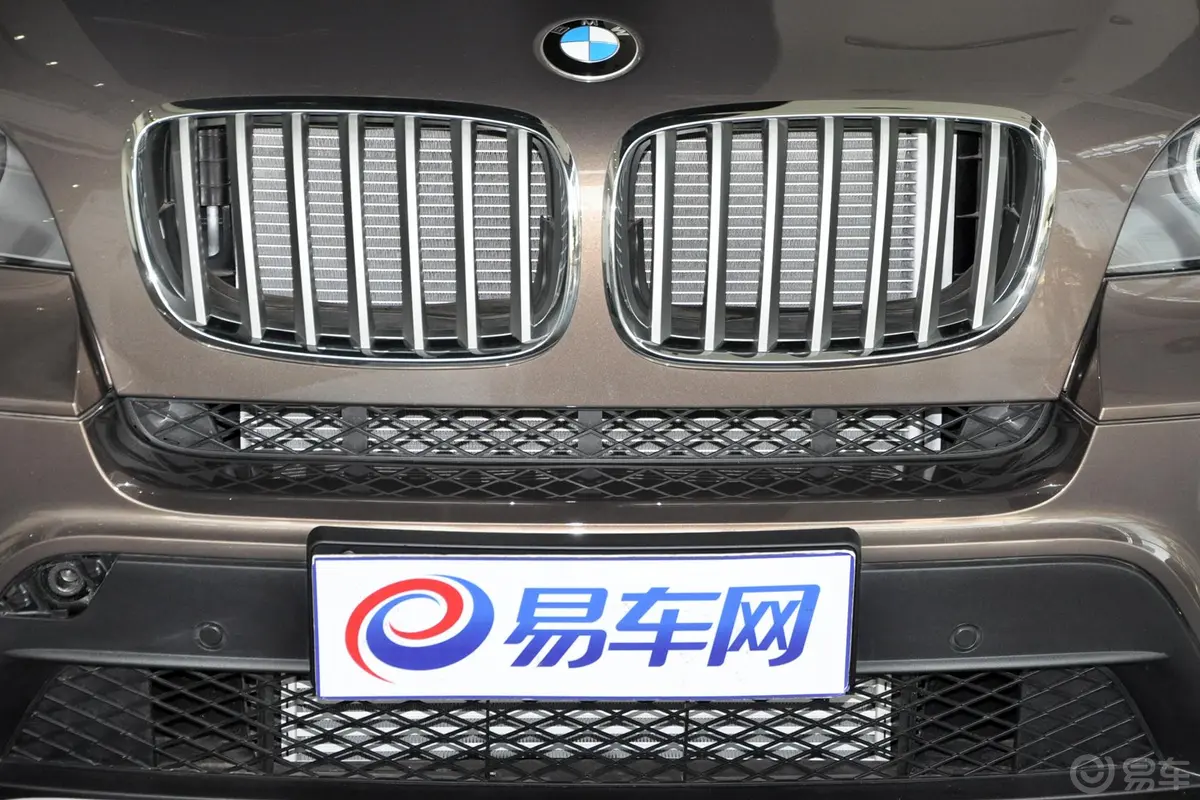 宝马X5(进口)xDrive35i 豪华型前格栅侧俯拍