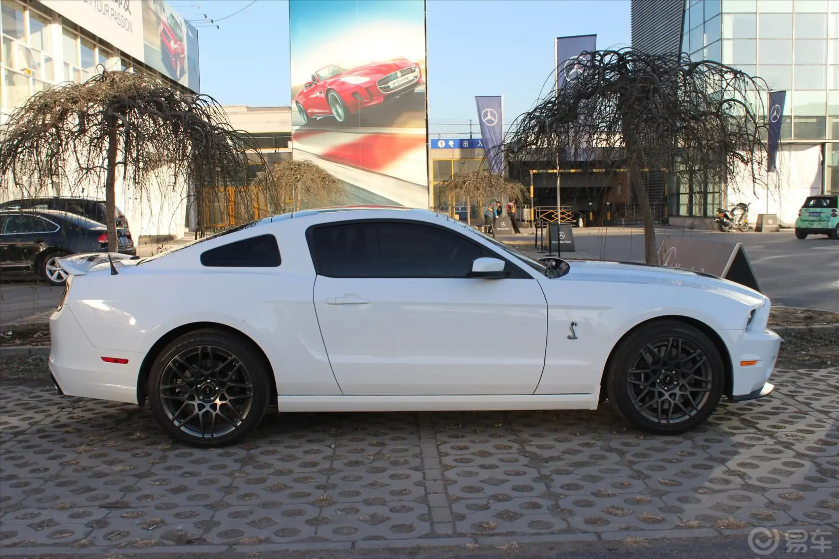 Mustang5.8T 手动 GT500正侧车头向右水平