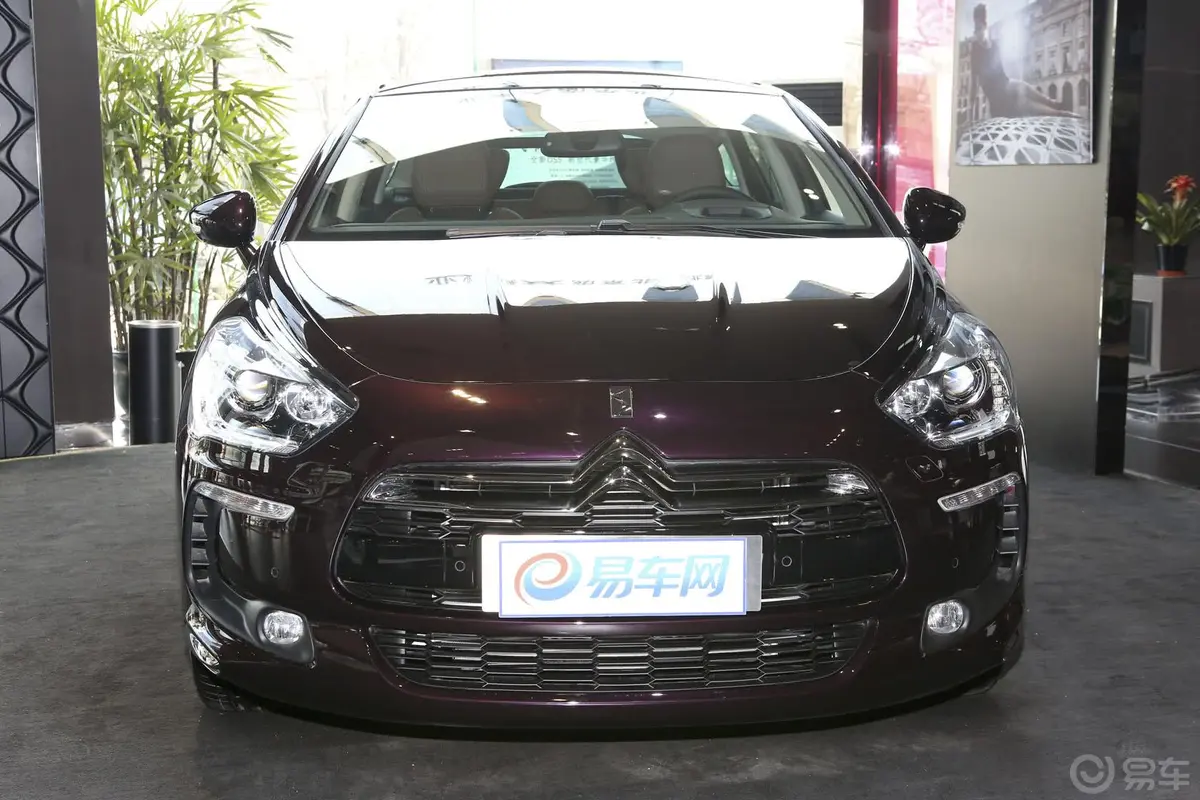 DS 51.6T 手自一体 THP200 尊享版正前水平