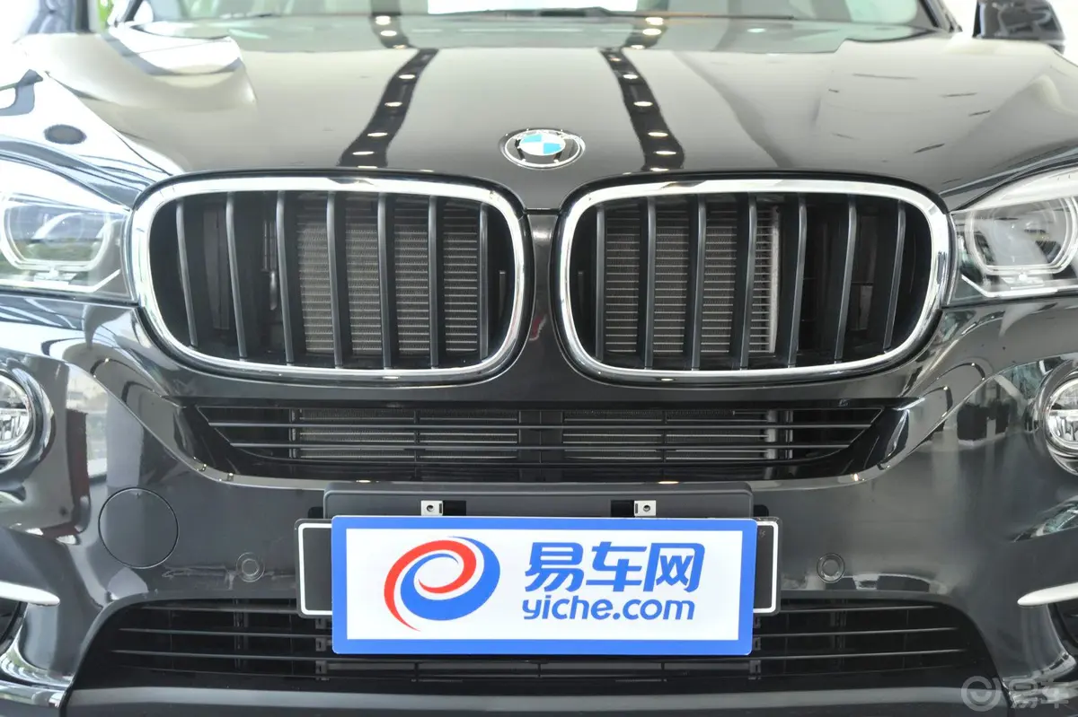 宝马X5(进口)xDrive35i 领先型前格栅侧俯拍