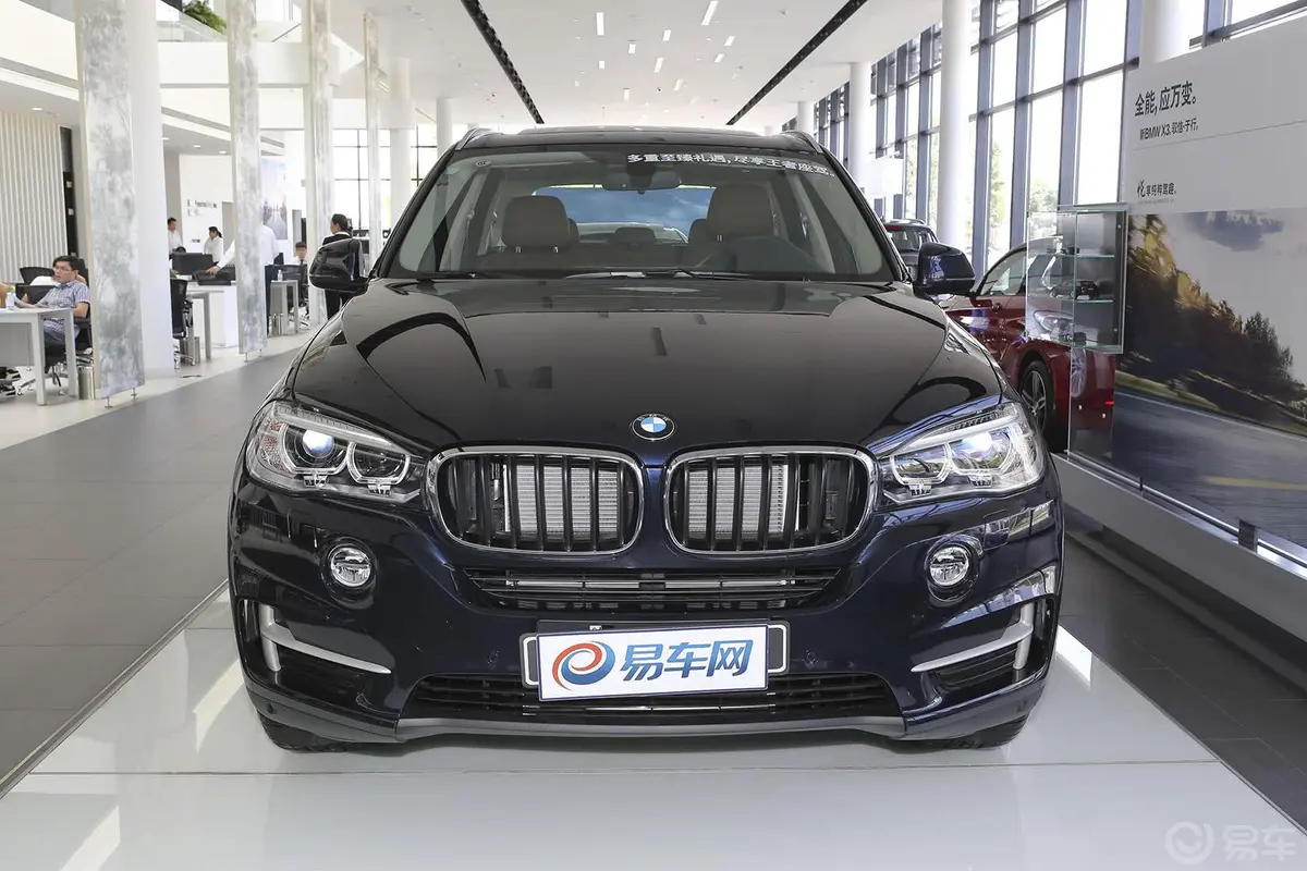 宝马X5(进口)xDrive35i 领先型正前水平