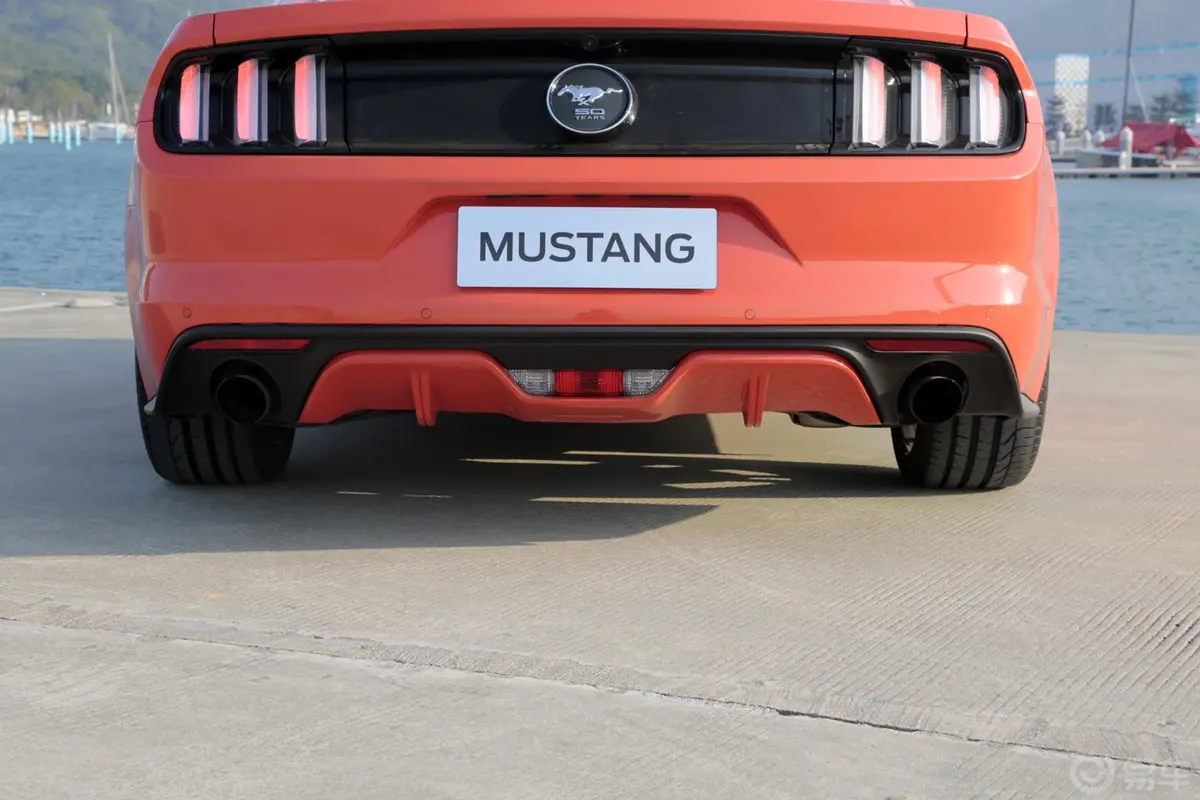 Mustang2.3L 手自一体 50周年纪念版外观