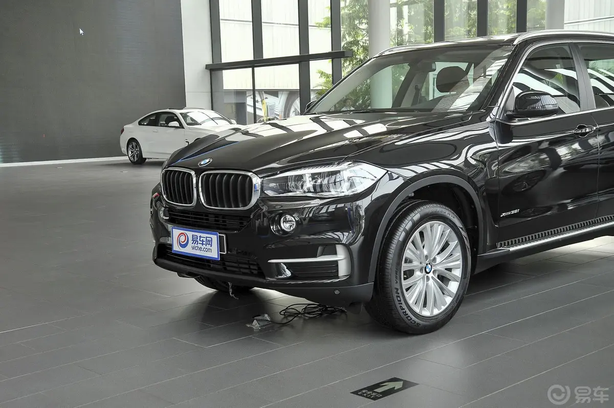 宝马X5(进口)xDrive35i 豪华型车头局部