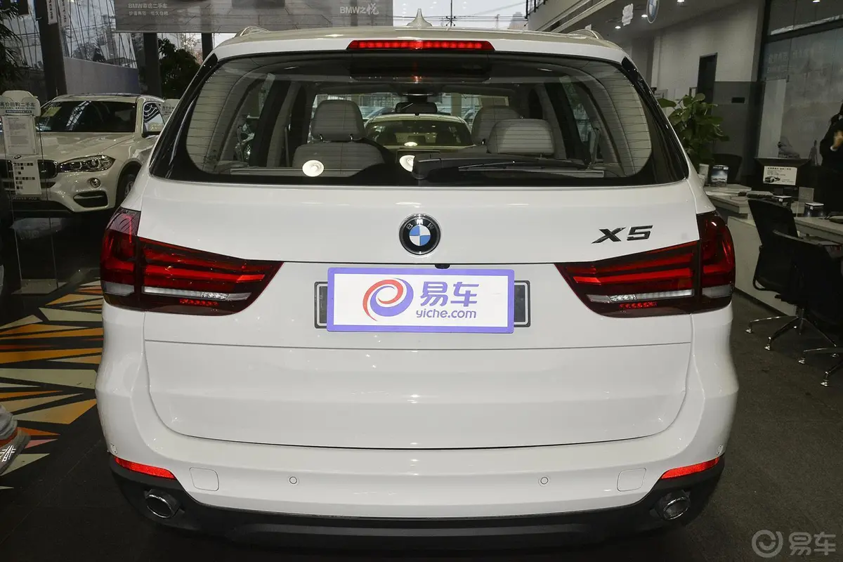 宝马X5(进口)xDrive35i 领先型正后水平