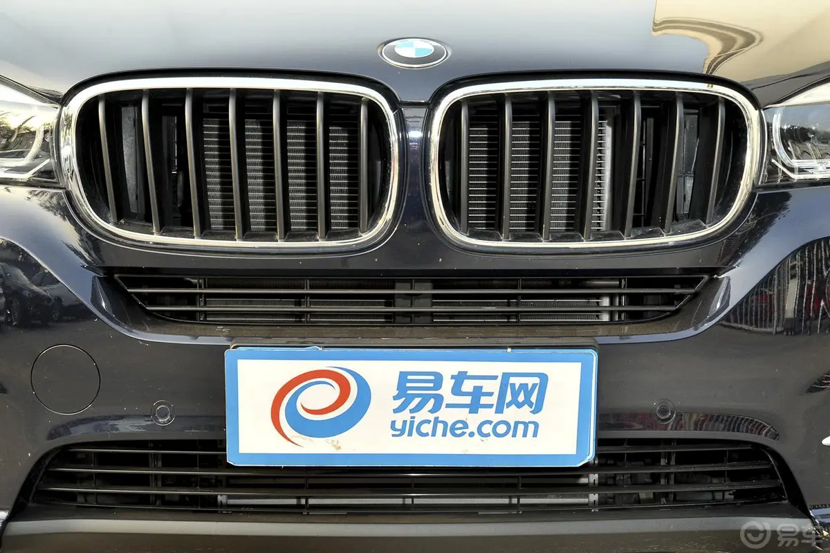 宝马X5(进口)xDrive35i 领先型前格栅侧俯拍