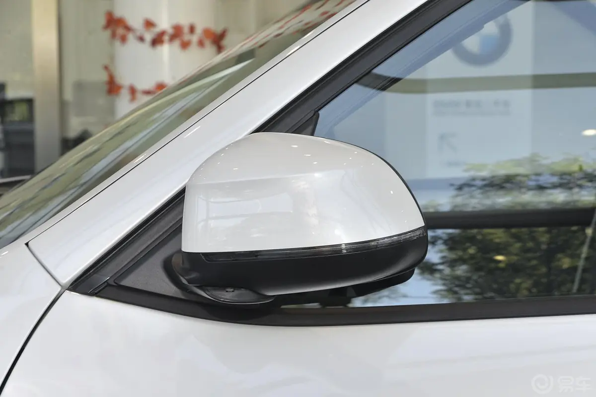 宝马X3(进口)xDrive20i 领先型后视镜转向灯（前）