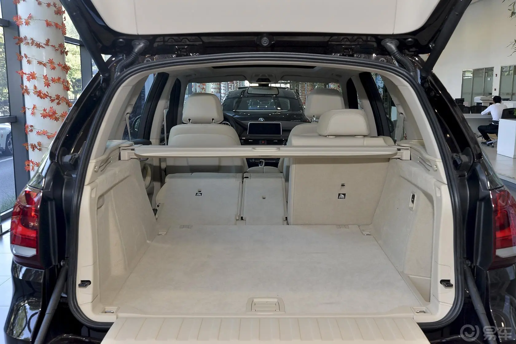 宝马X5(进口)xDrive35i 豪华型空间
