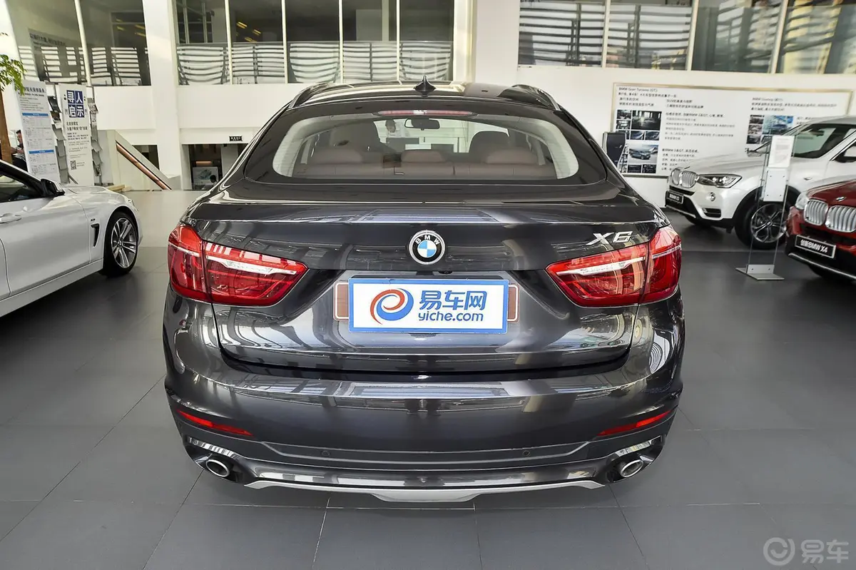 宝马X6xDrive35i 豪华型正后水平