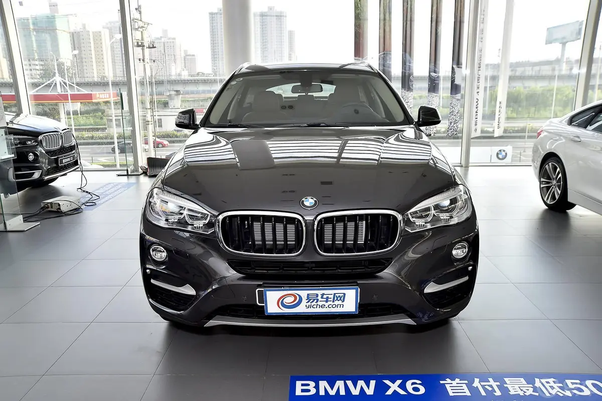 宝马X6xDrive35i 豪华型正前水平