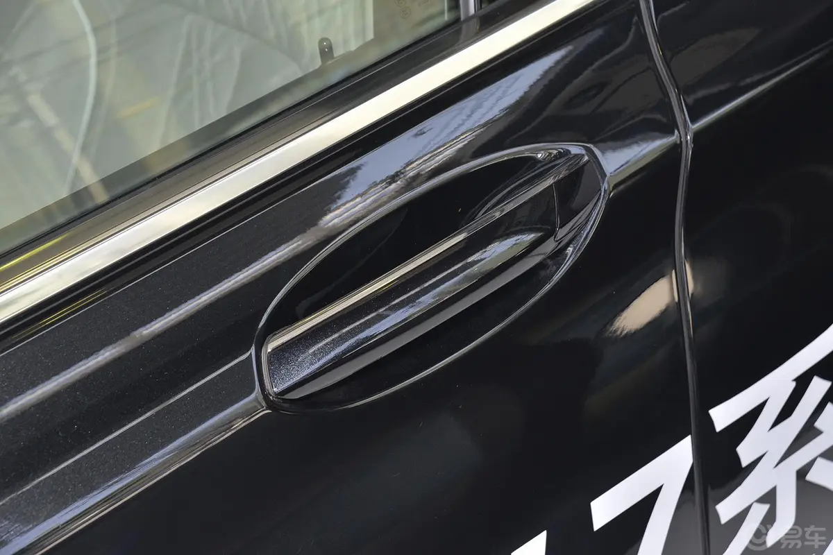 宝马7系750Li xDrive 四座版车门外拉手