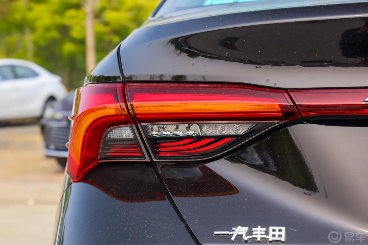 亚洲龙双擎 2.5L E-CVT Limited旗舰版 国V外观