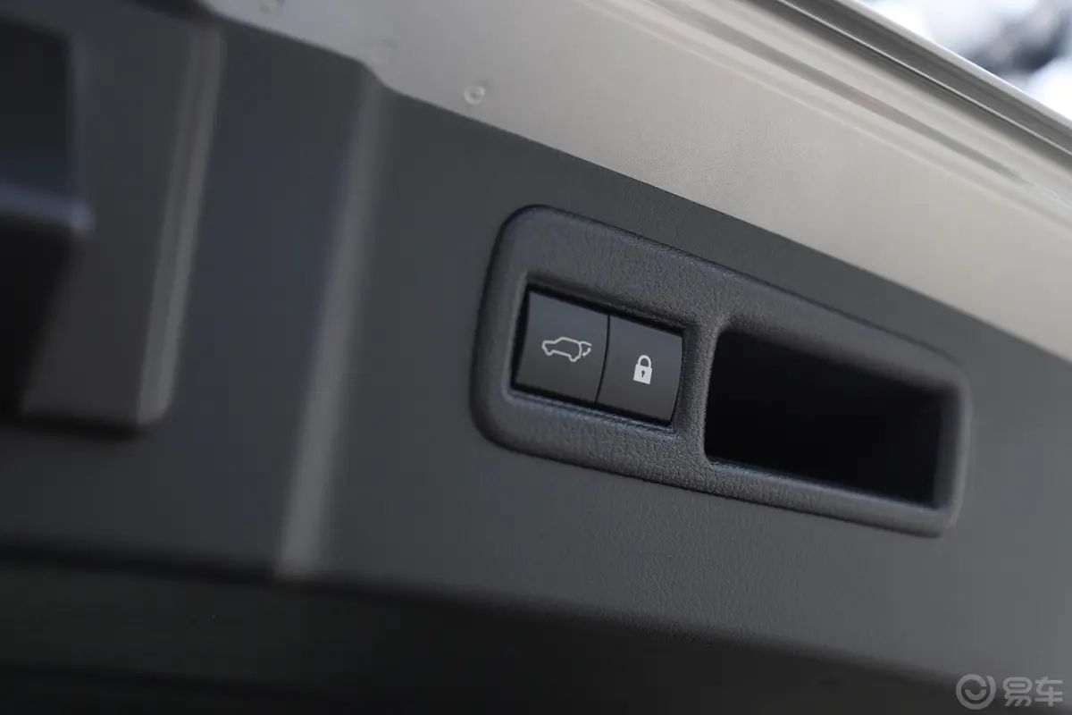 雷克萨斯NX300h 锋致版 国V电动尾门按键（手动扶手）