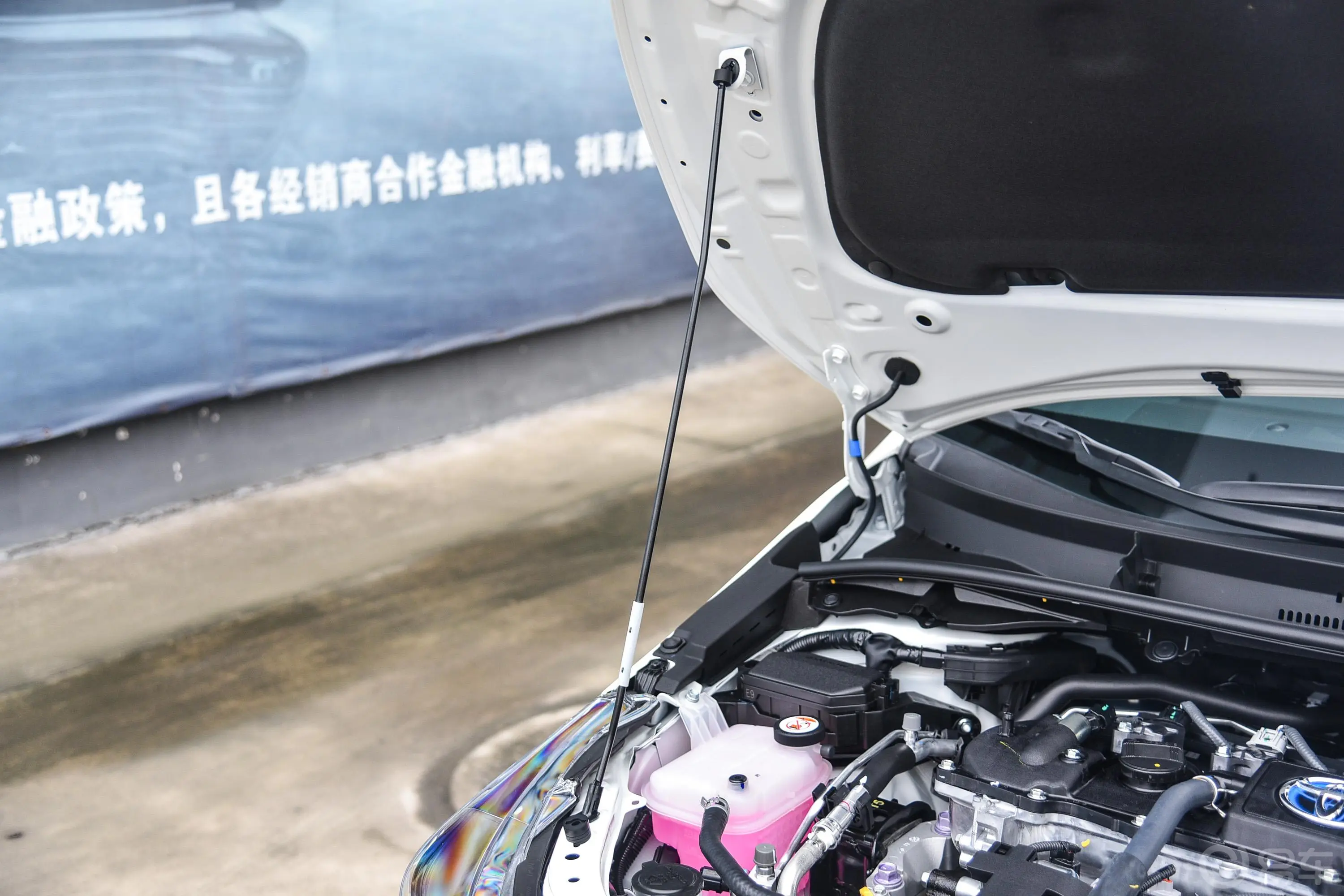 雷凌双擎 1.8L E-CVT 豪华版 国VI外观