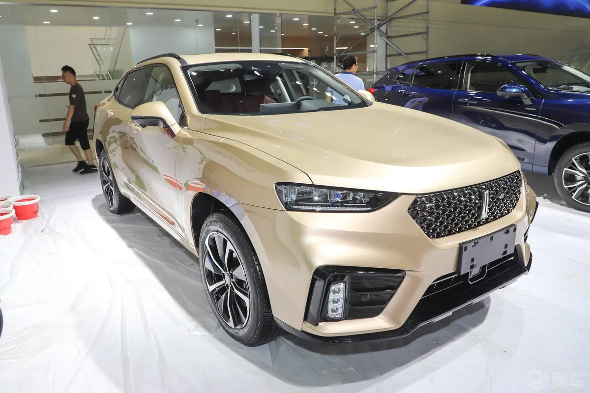 魏牌VV7 GT-PHEV2.0T 双离合 旗舰型驾驶员侧后门把手