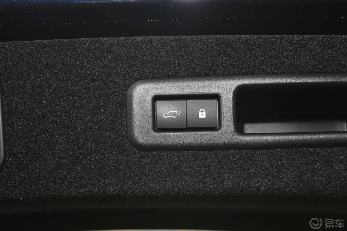 雷克萨斯RX450hL 尊贵版 6座 国V电动尾门按键（手动扶手）