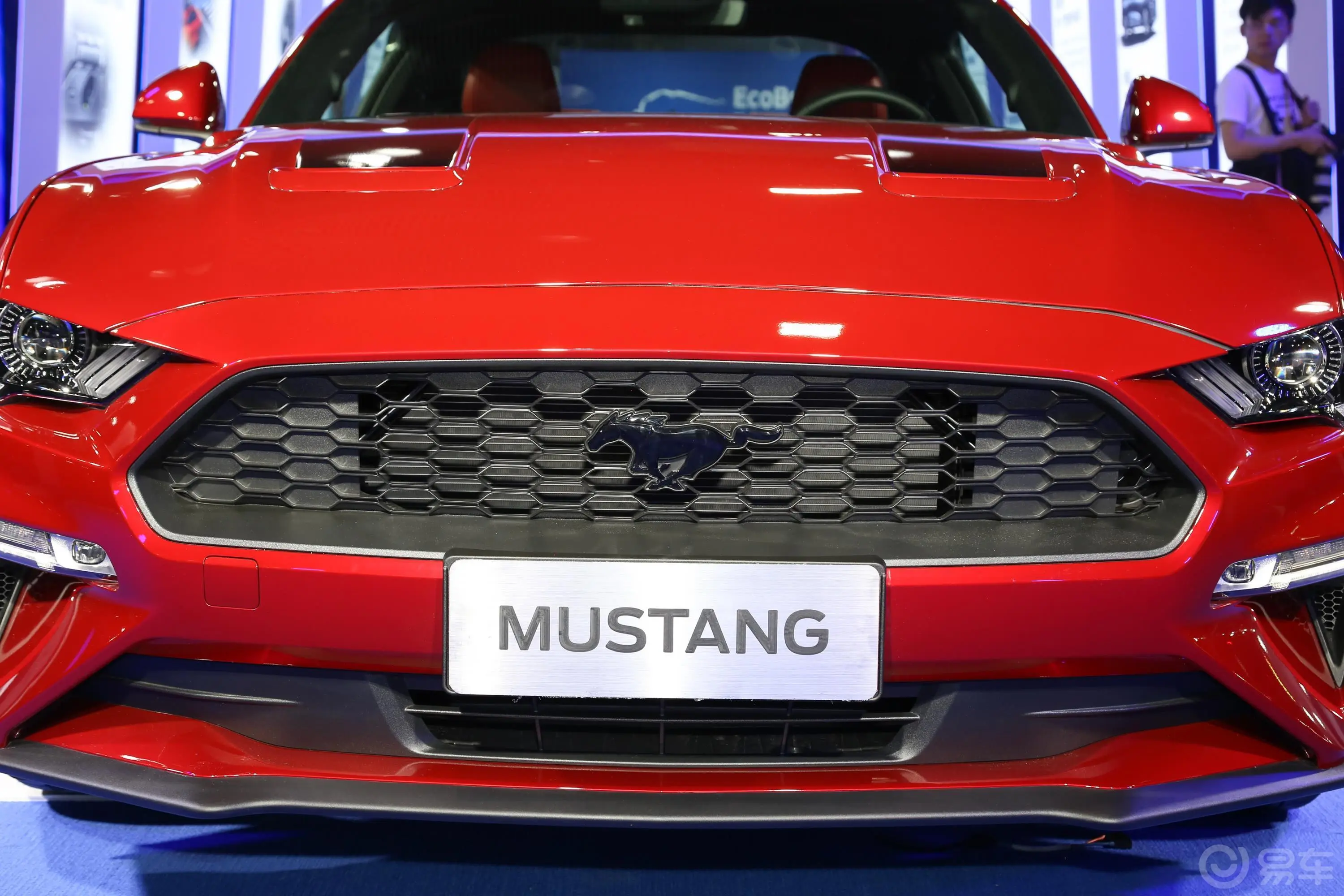 Mustang