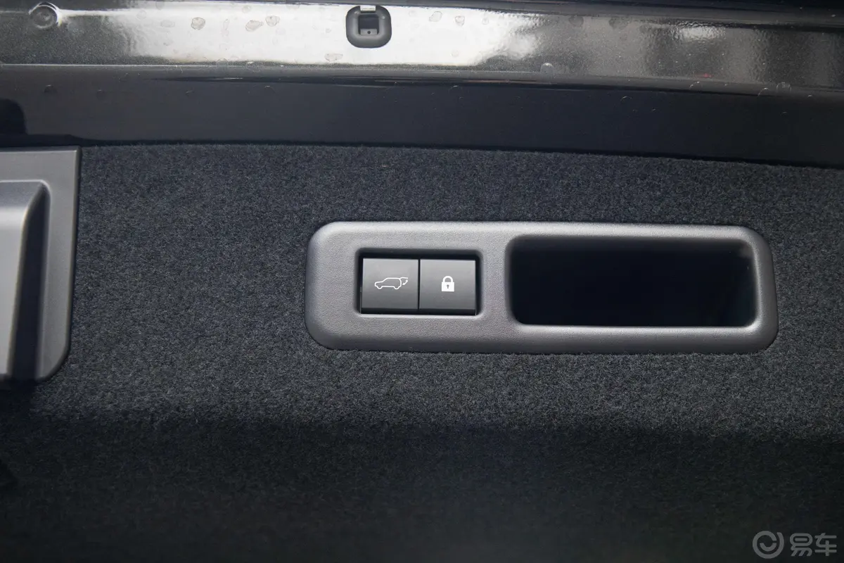 雷克萨斯RX450hL 豪华版 7座 国VI电动尾门按键（手动扶手）