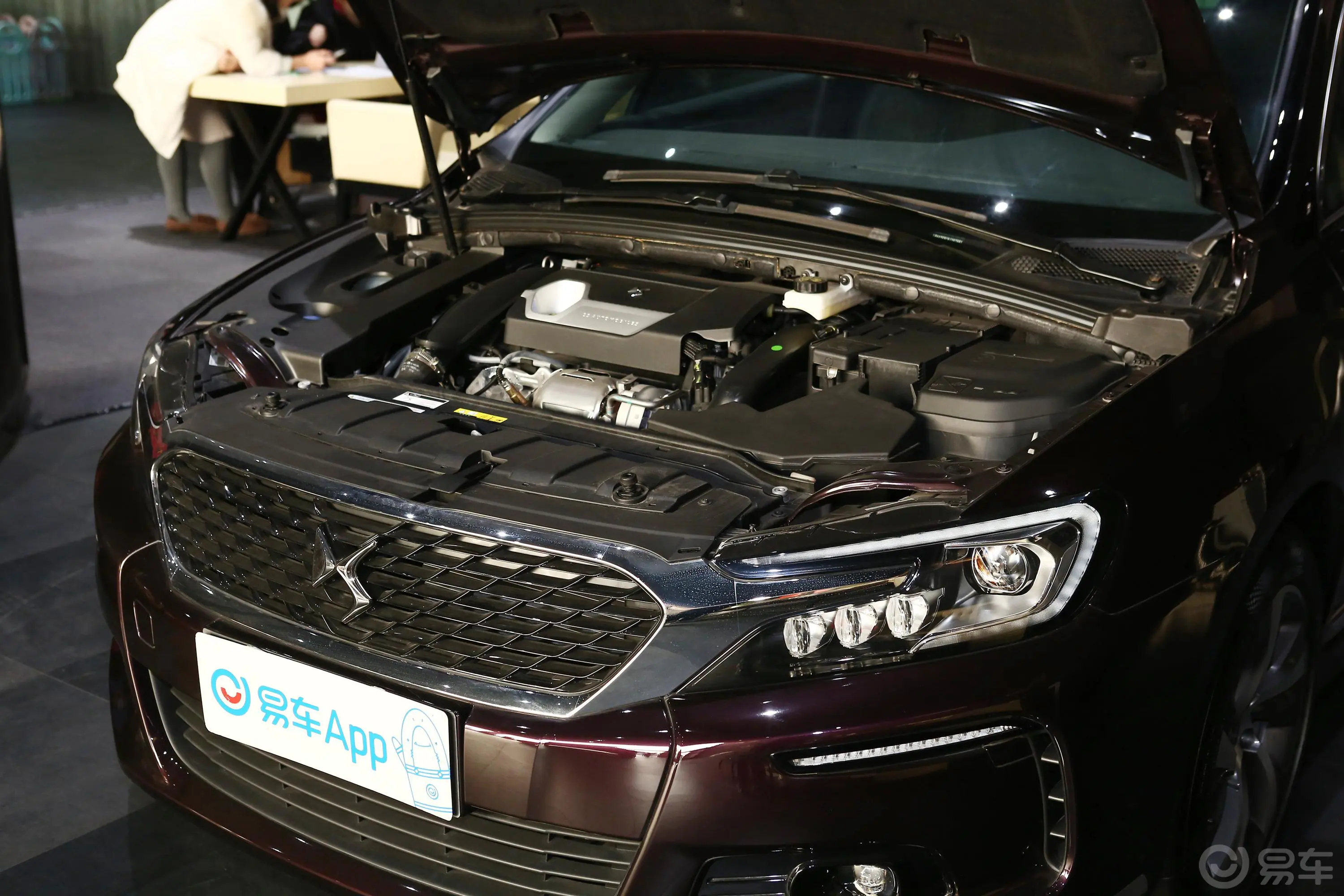 DS 5LS35THP 尊贵型外观