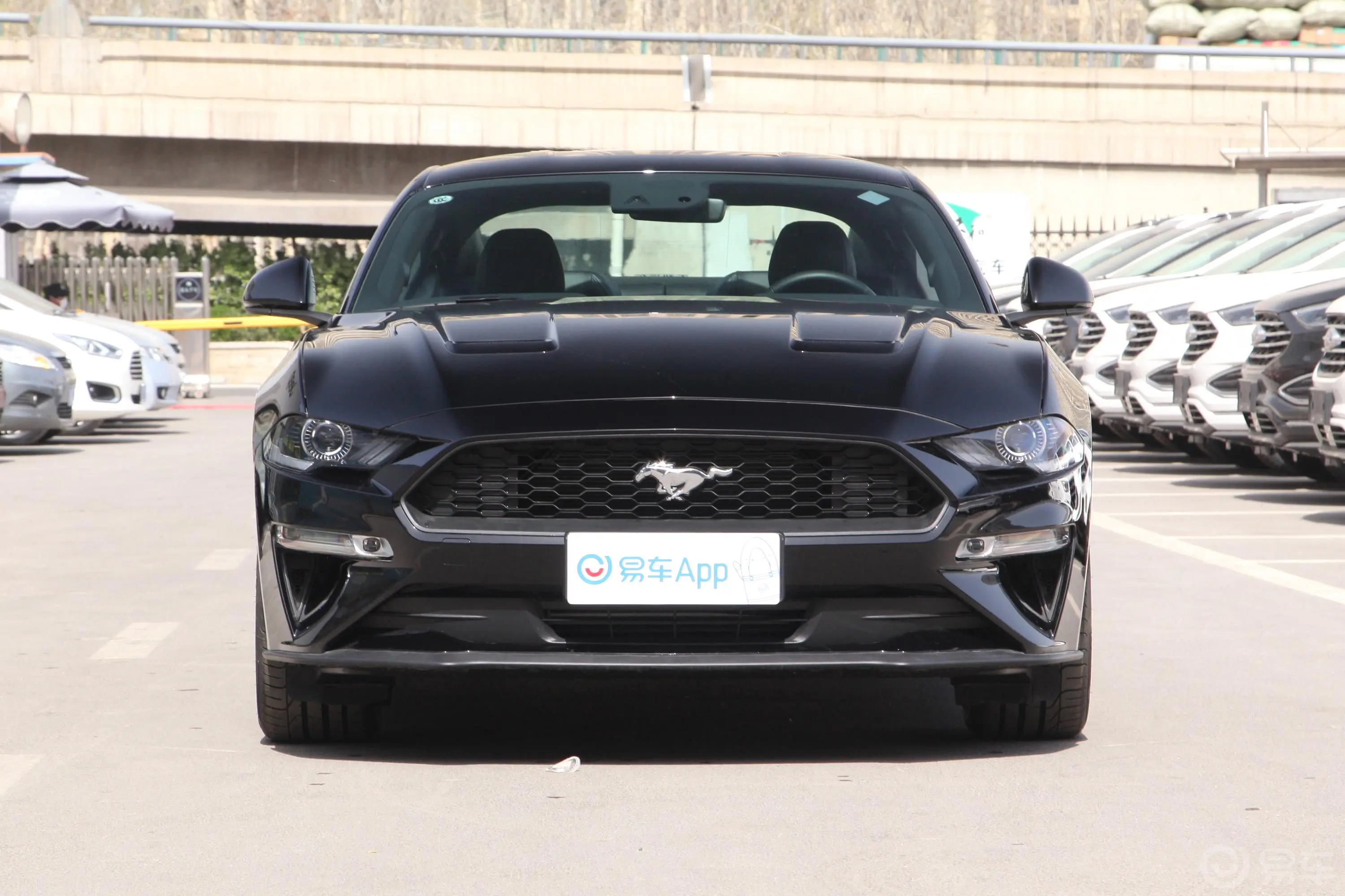 Mustang2.3L EcoBoost正前水平