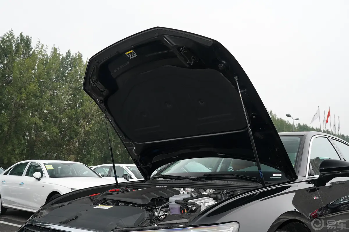 奥迪A6L45 TFSI 臻选动感型发动机舱盖内侧