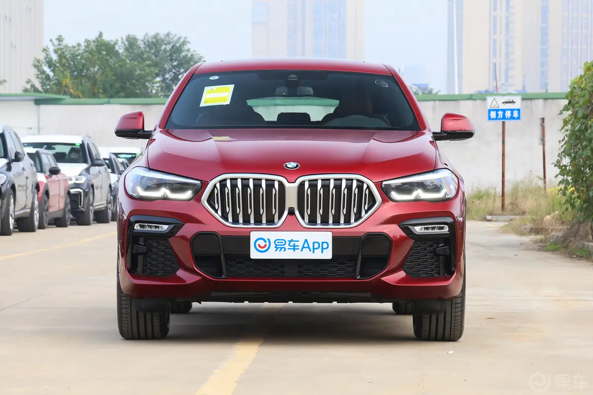 宝马X6xDrive30i M运动套装正前水平