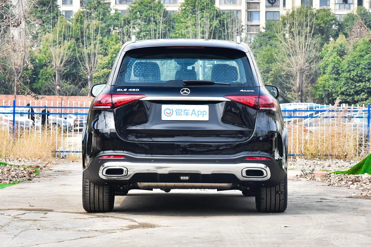 奔驰GLEGLE 450 4MATIC 动感型正后水平