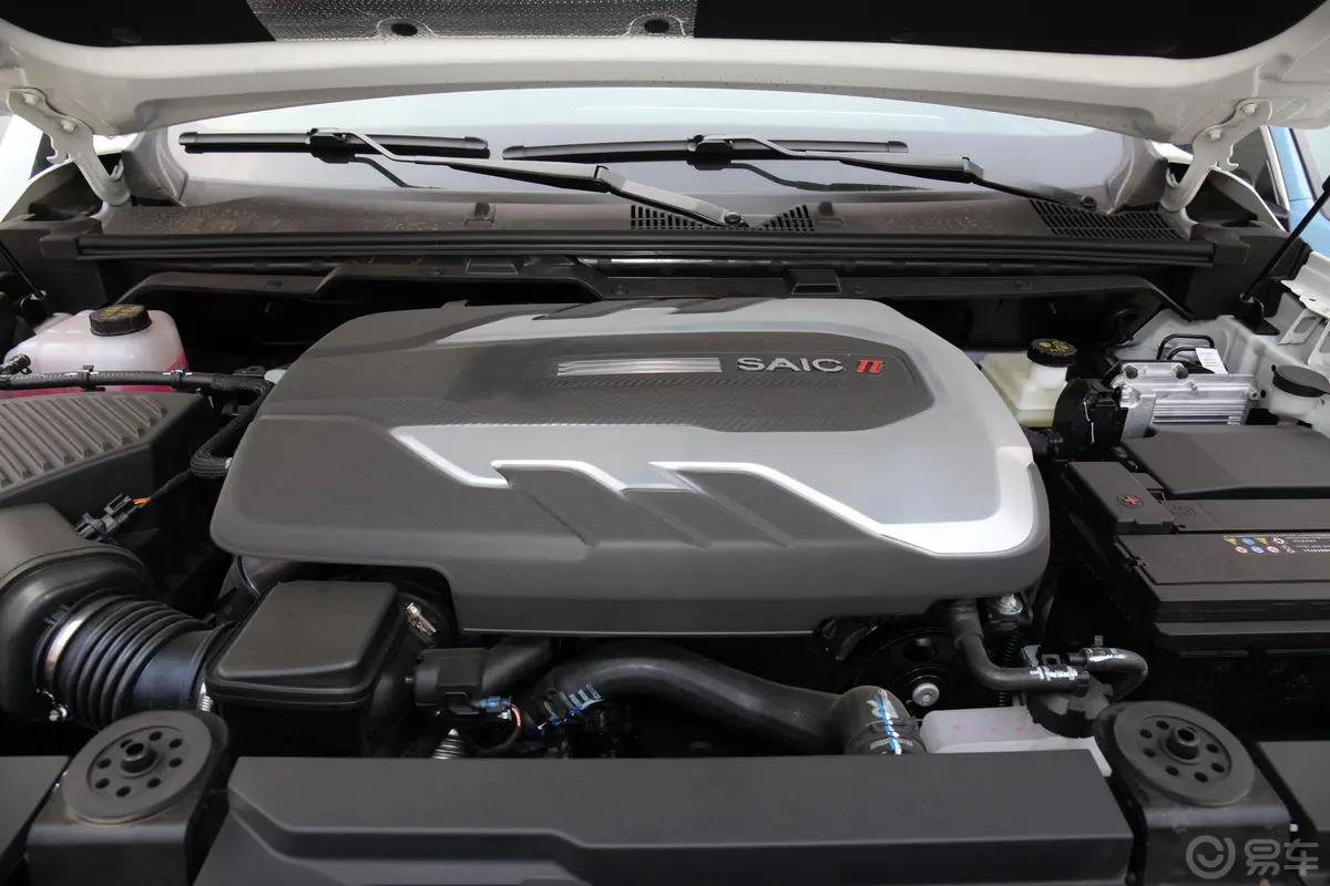 大通T902.0T 自动两驱双增压长箱高底盘舒享型 柴油发动机特写