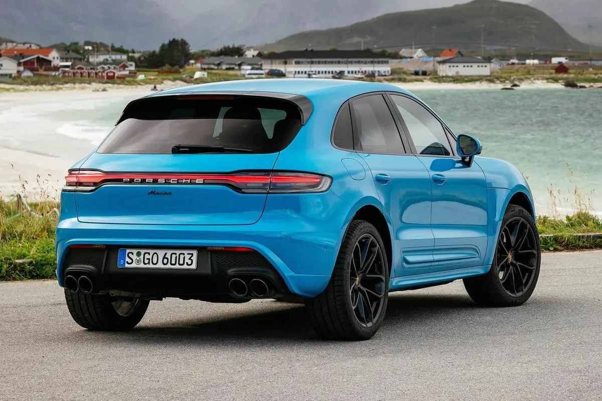 Macan