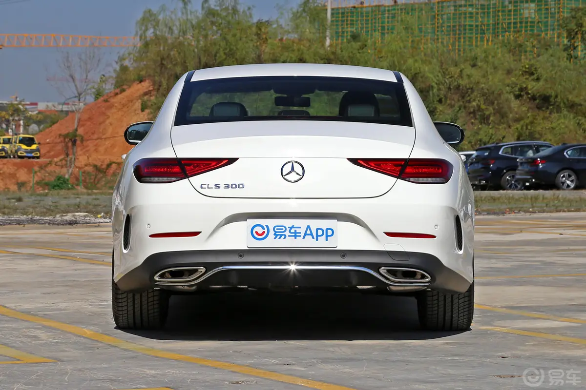 奔驰CLS级改款 CLS 300 动感型正后水平