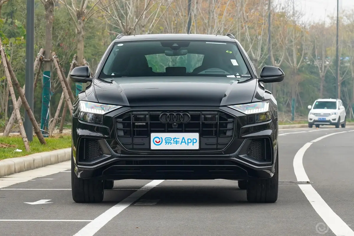 奥迪Q855 TFSI quattro 暗夜骑士殿堂版正前水平