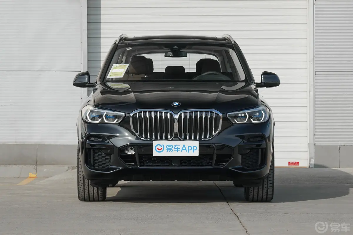 宝马X5(进口)xDrive40i M运动套装正前水平