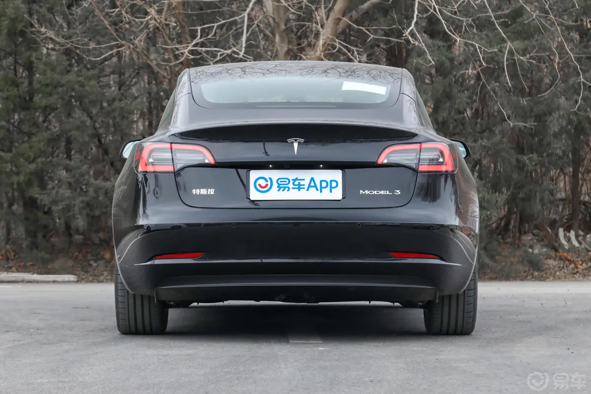 Model 3556km 后轮驱动版正后水平