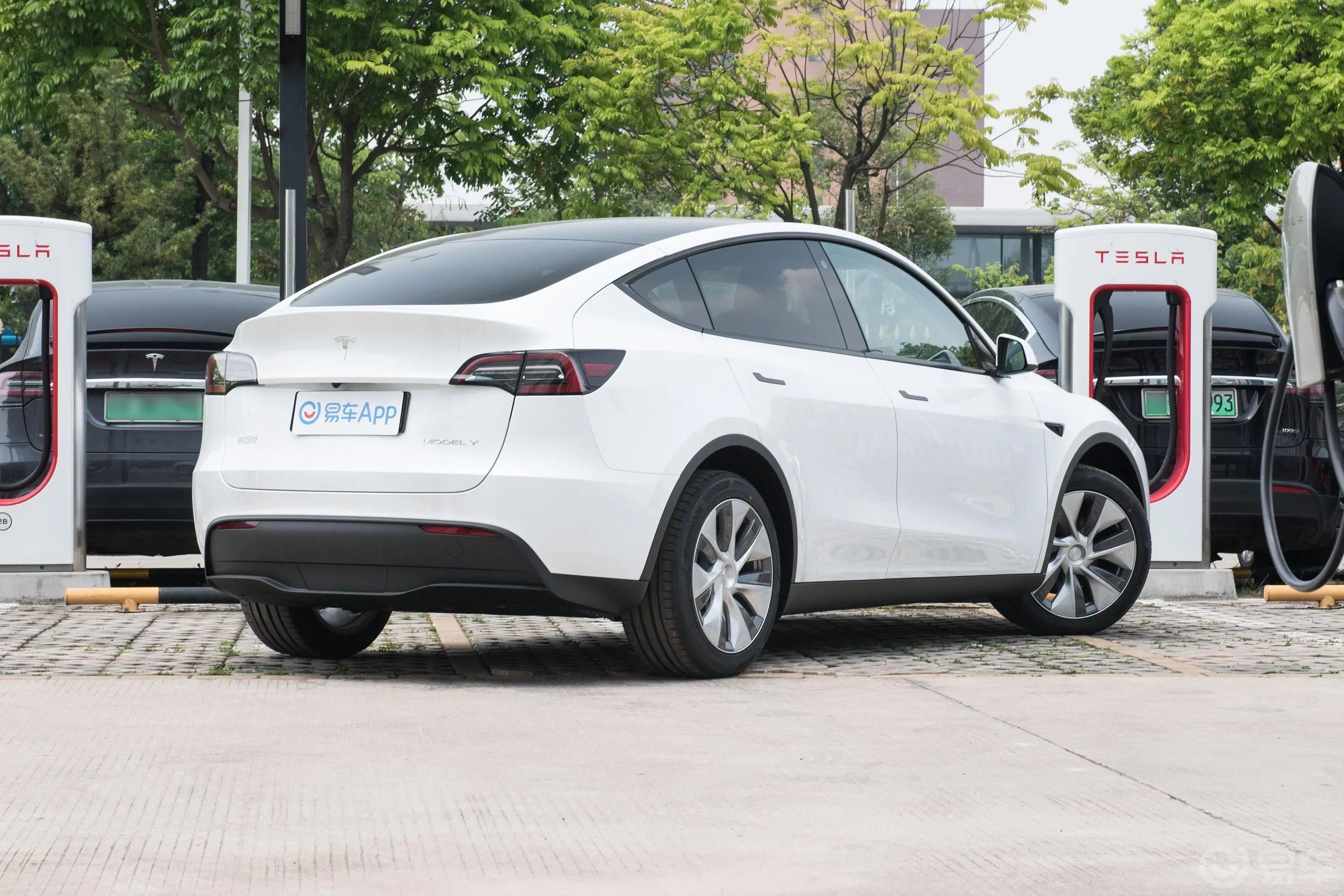 Model Y545km 后轮驱动版外观