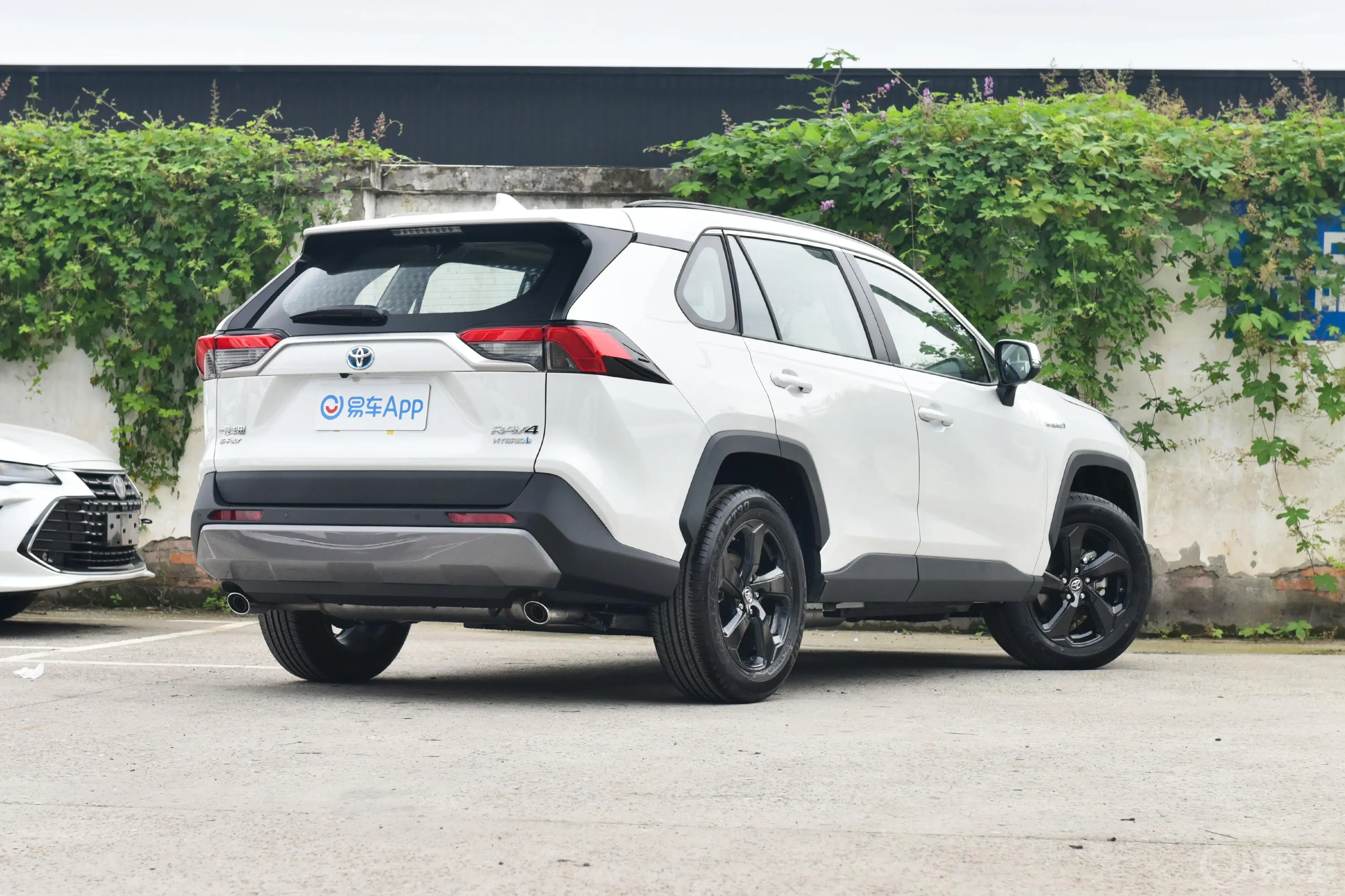 RAV4荣放双擎 2.5L 四驱旗舰版侧后45度车头向右水平