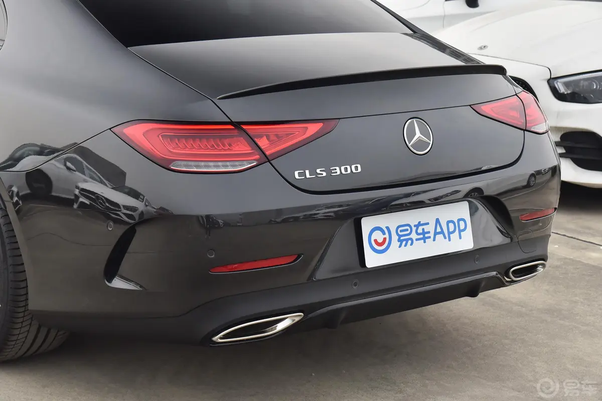 奔驰CLS级CLS 300 动感型车后雷达