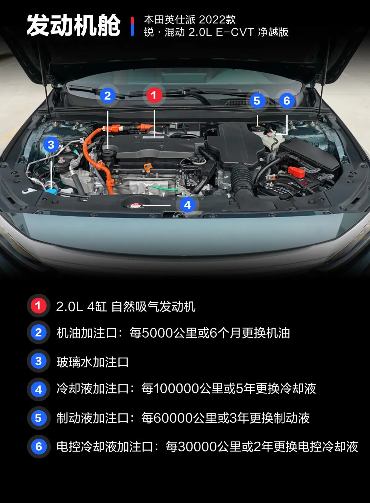 英仕派锐·混动 2.0L E-CVT 净越版