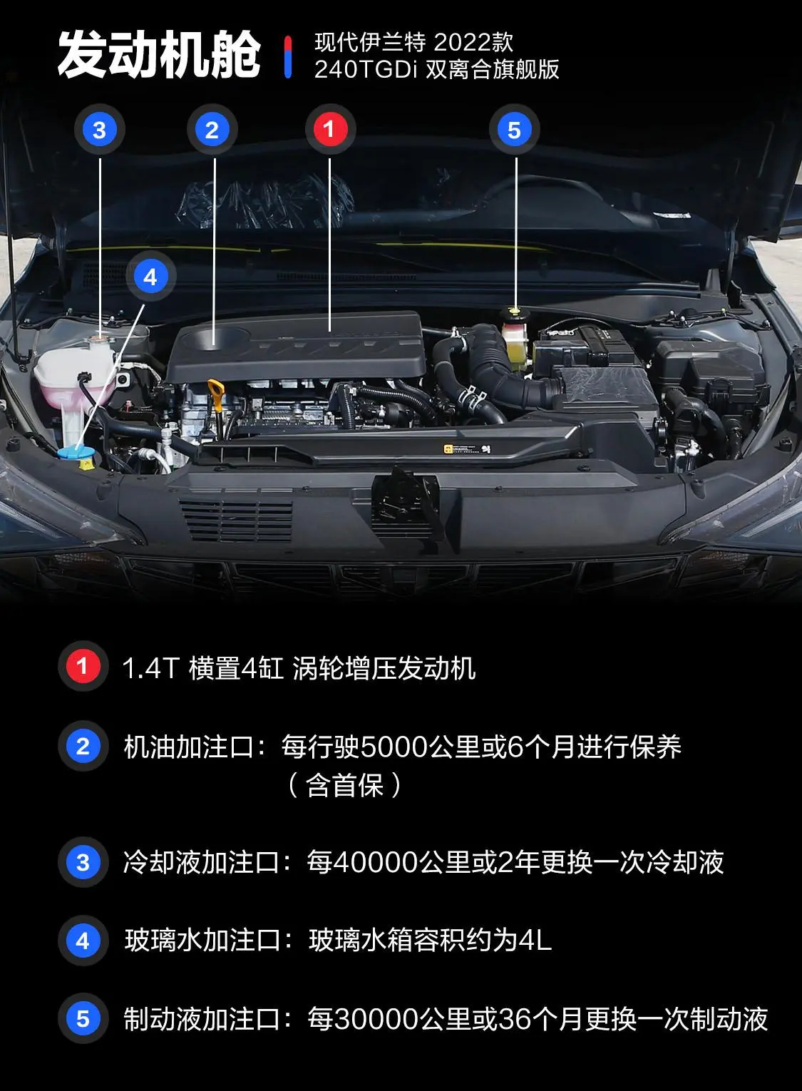 伊兰特1.4T 双离合旗舰版