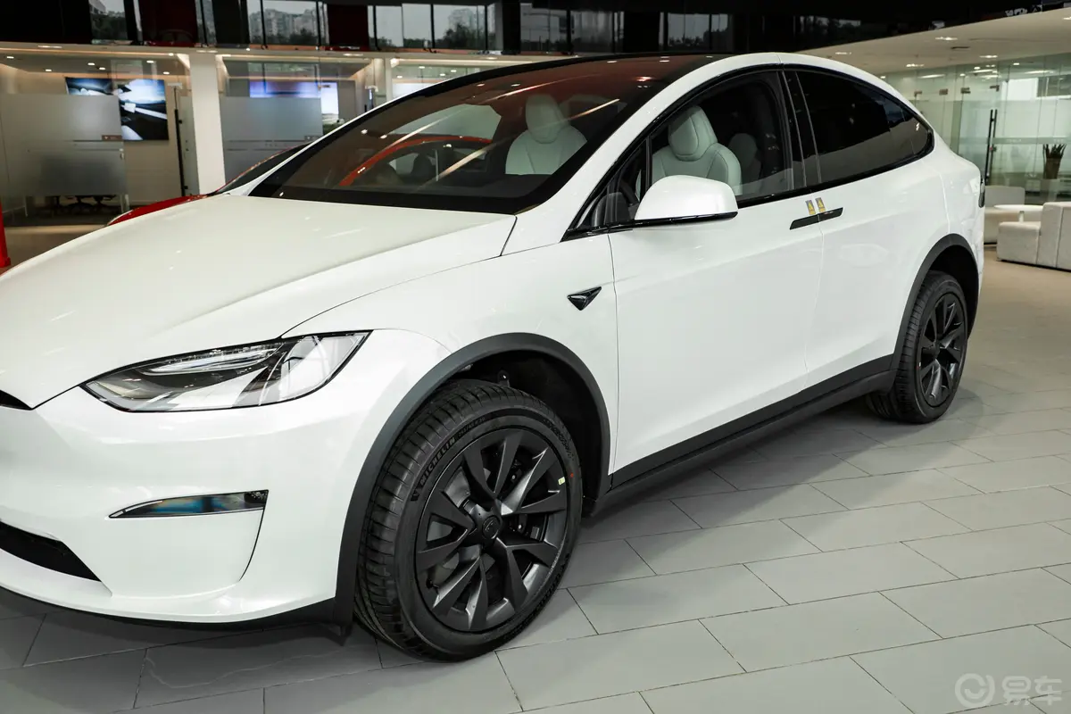 Model X700km  双电机全轮驱动外观细节