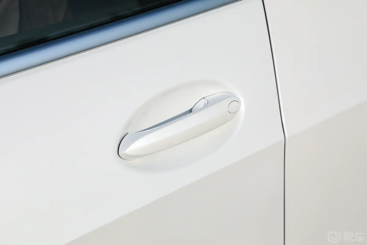 宝马X7xDrive40i 领先型 豪华套装驾驶员侧前门把手