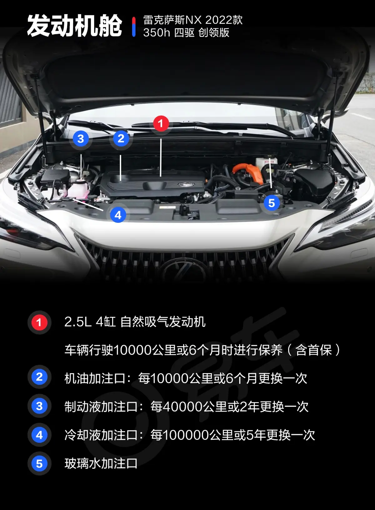 雷克萨斯NX350h 四驱创领版