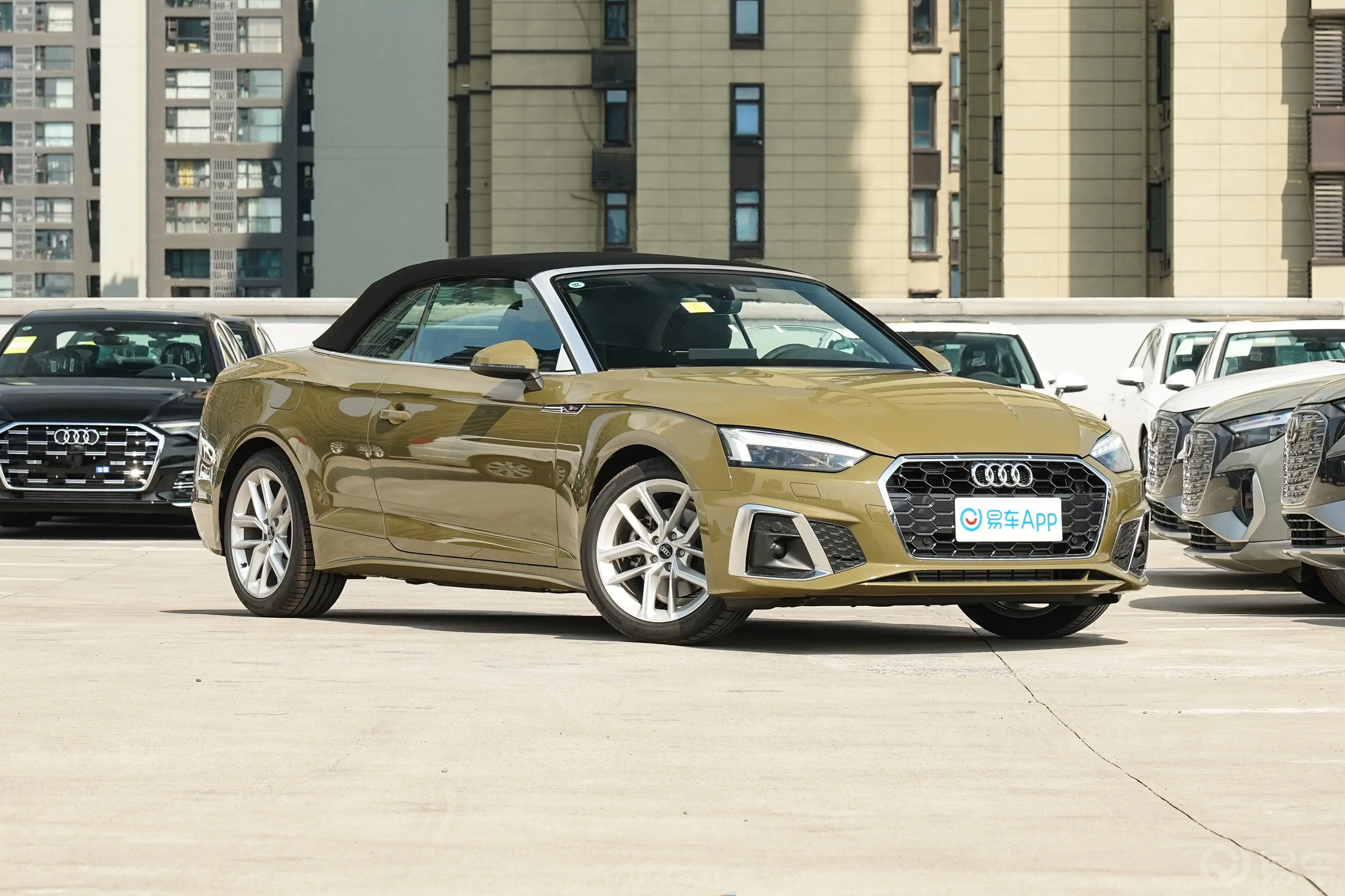 奥迪A5Cabriolet 40 TFSI 致臻幻彩限量版驾驶员侧前门把手