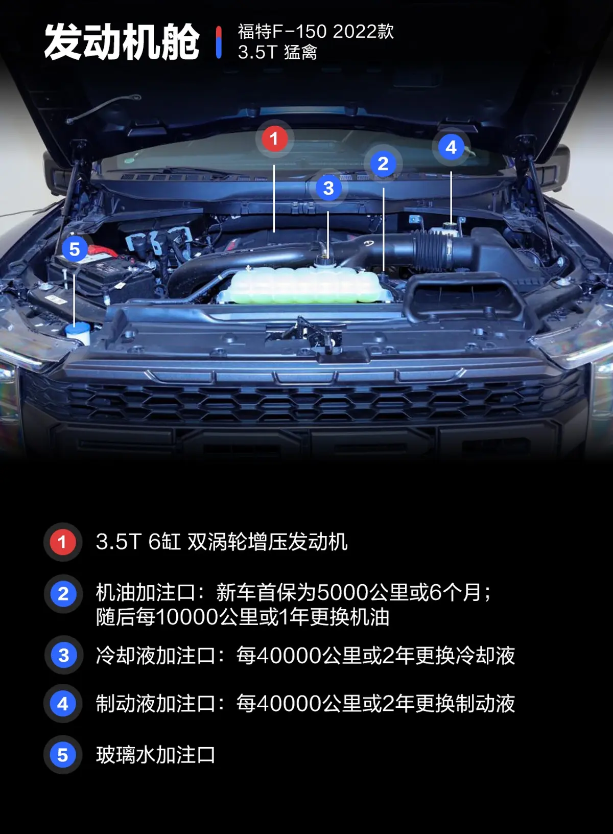 福特F-1503.5T 猛禽