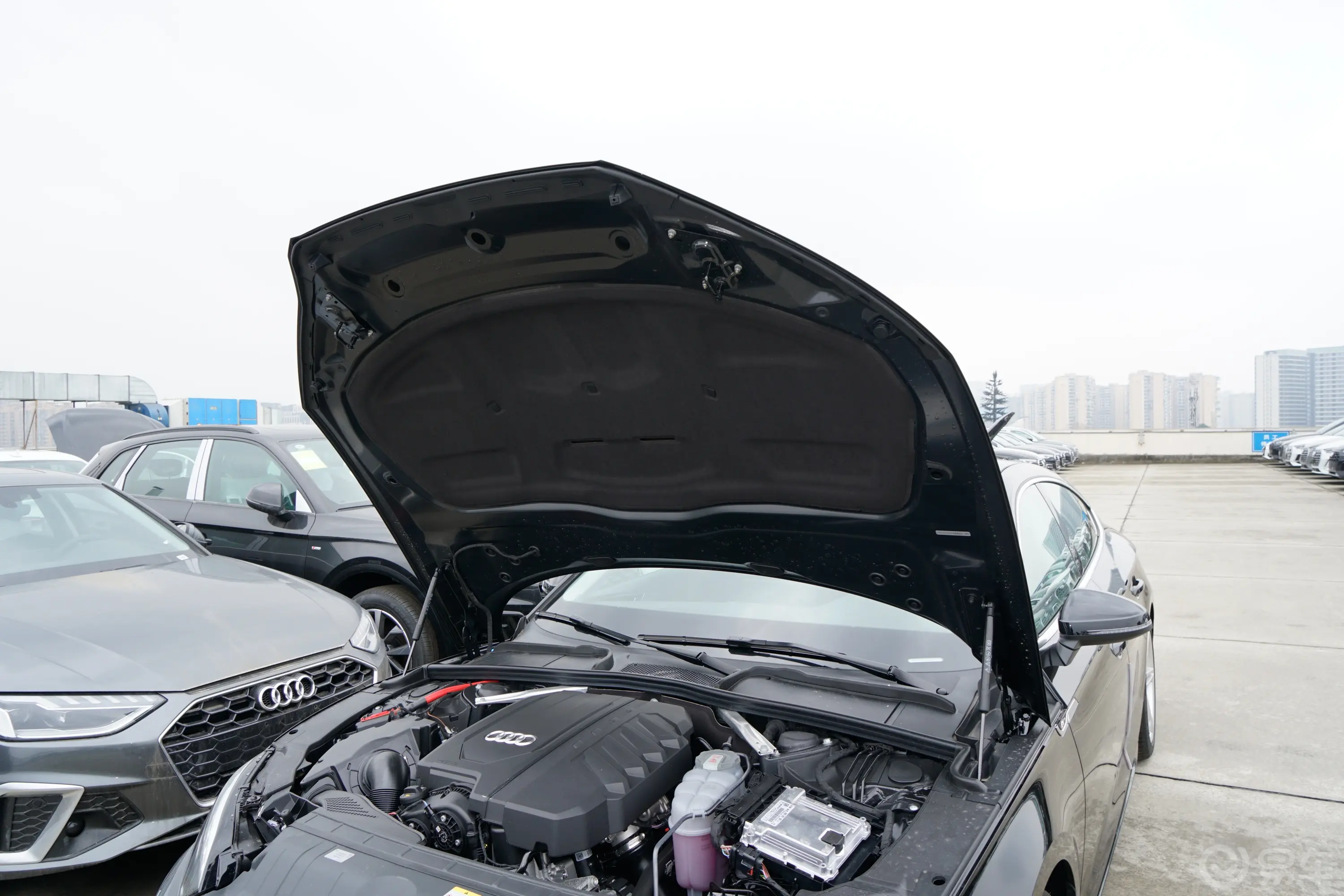 奥迪A5Sportback 40 TFSI 时尚动感型发动机舱盖内侧