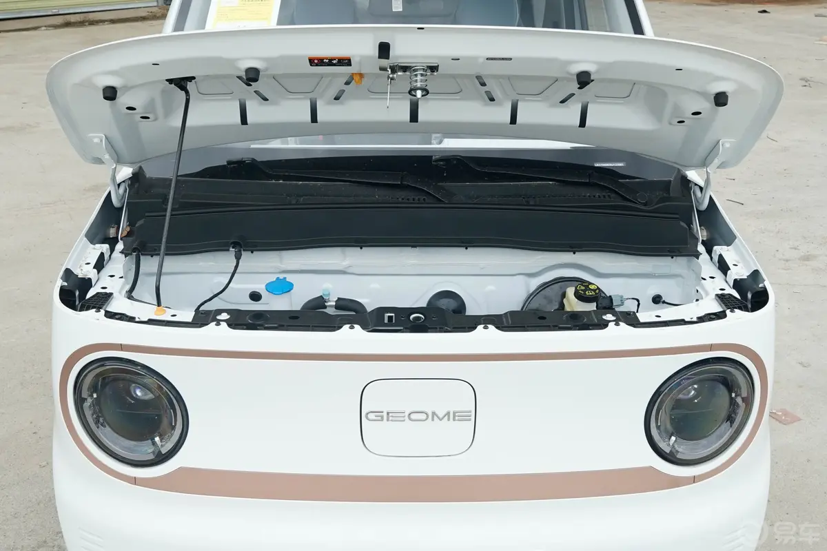 熊猫熊猫mini 200km 龙腾PRO版前舱整体