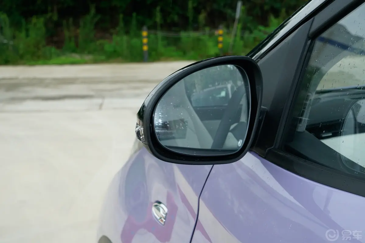 小蚂蚁321km 钟爱Pro版后视镜镜面