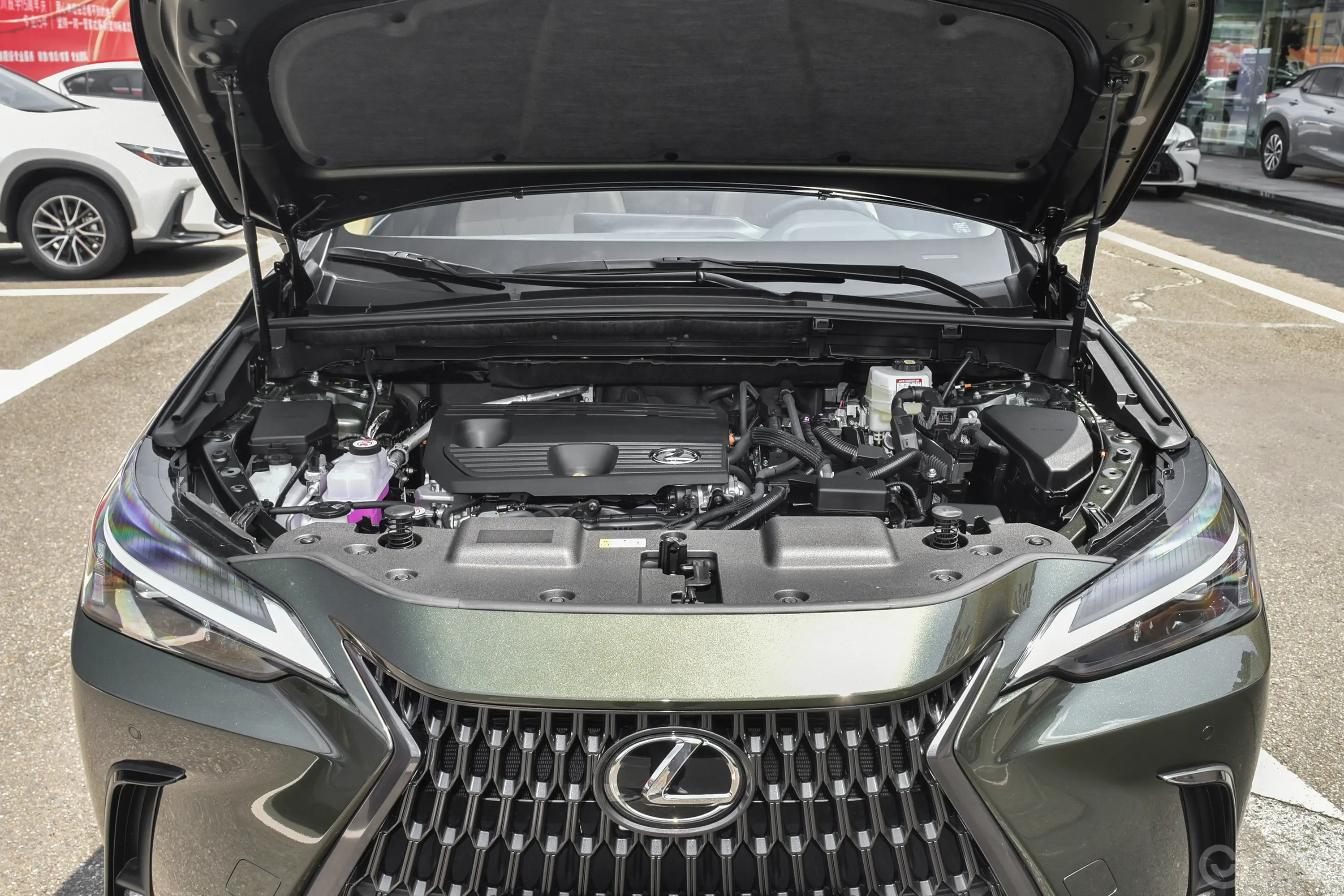 雷克萨斯NX350h 两驱创悦版前舱整体