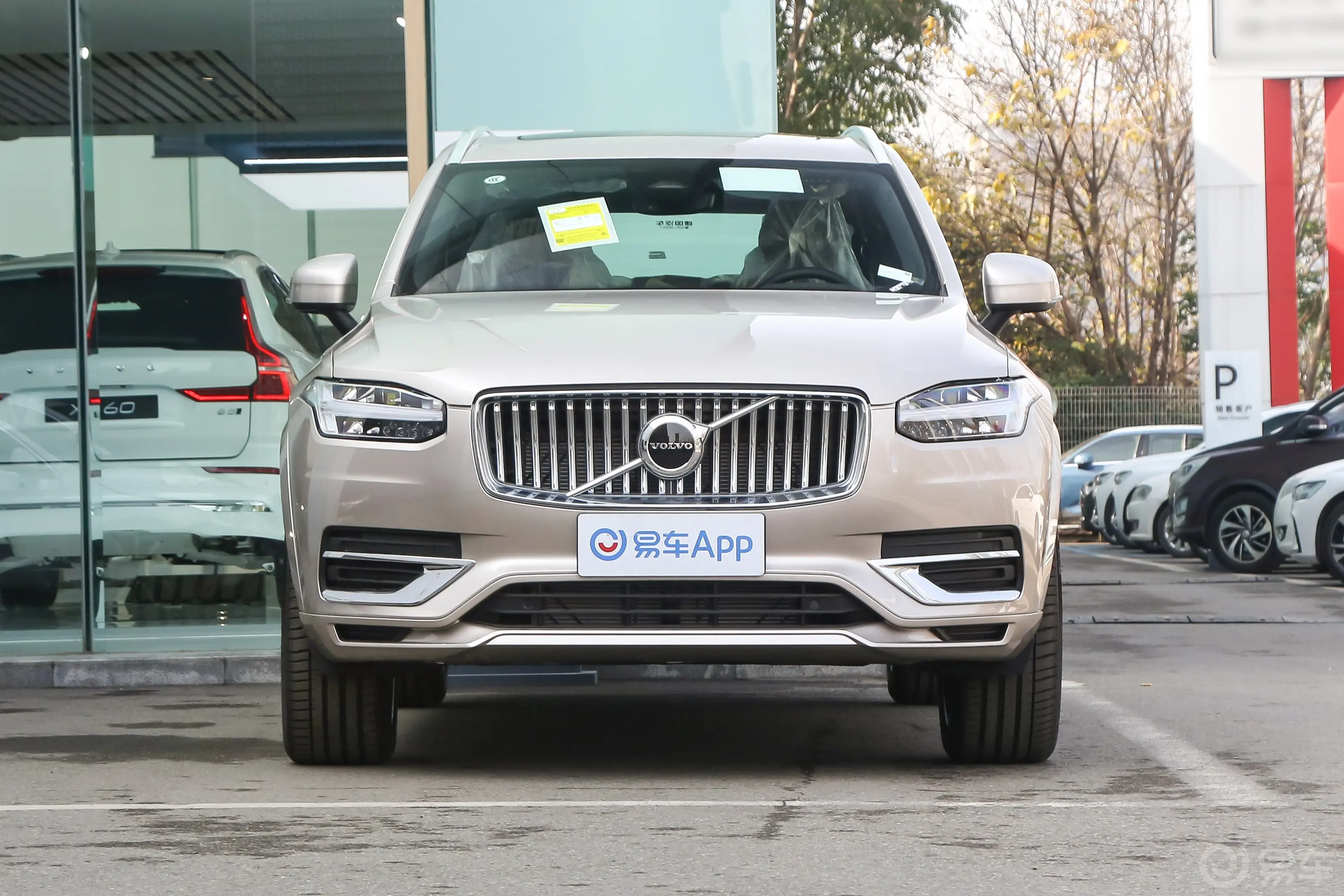 沃尔沃XC90B5 智行豪华版 5座正前水平