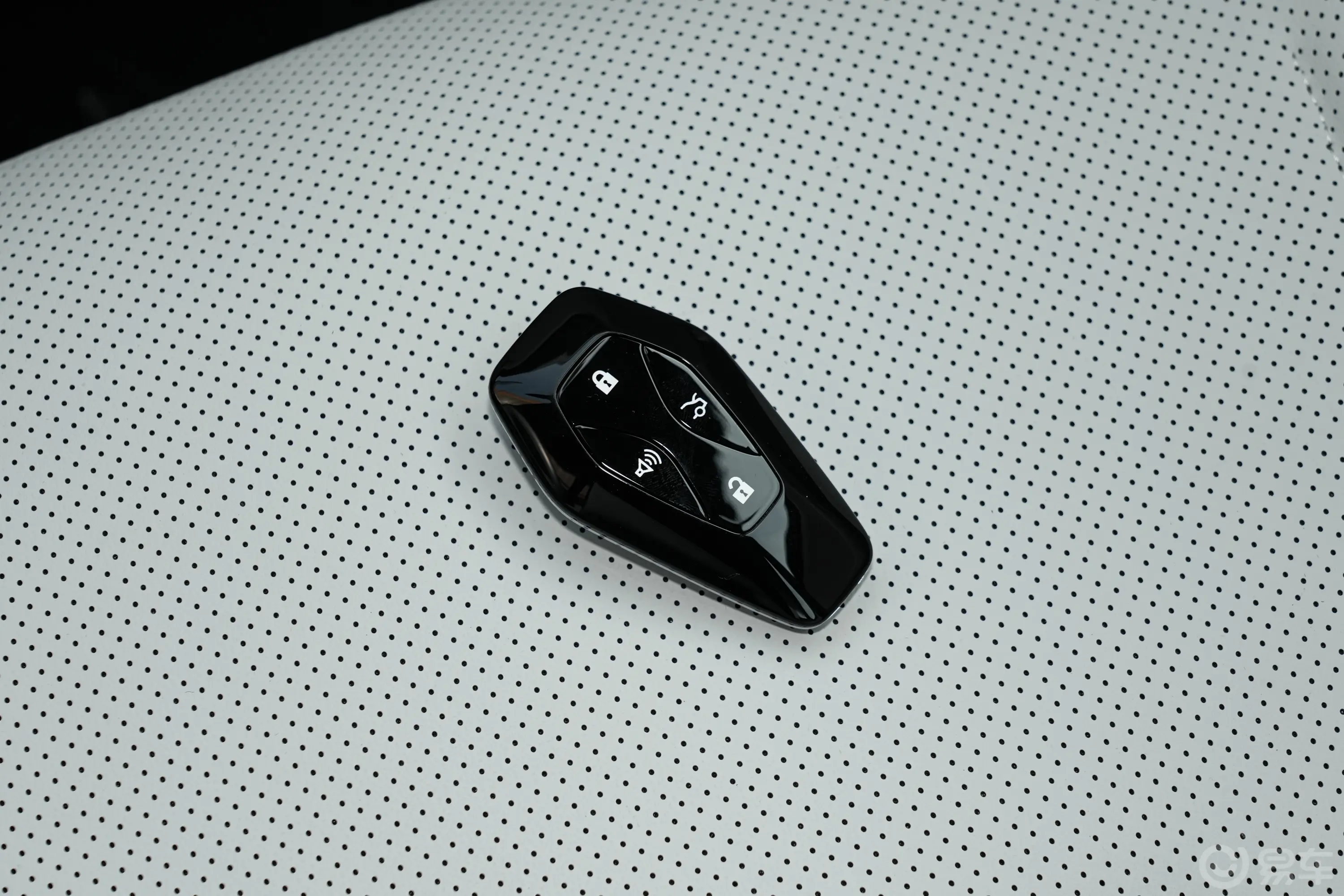 极狐 阿尔法S5560PRO 前驱185kW钥匙正面