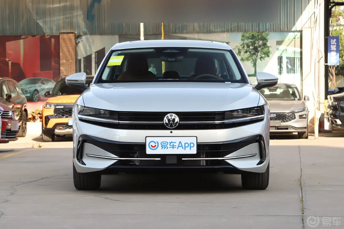 迈腾300TSI 尊享版显眼包正前水平