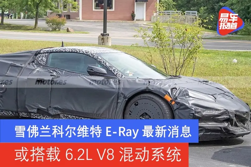 梗原神雷电国崩是什么